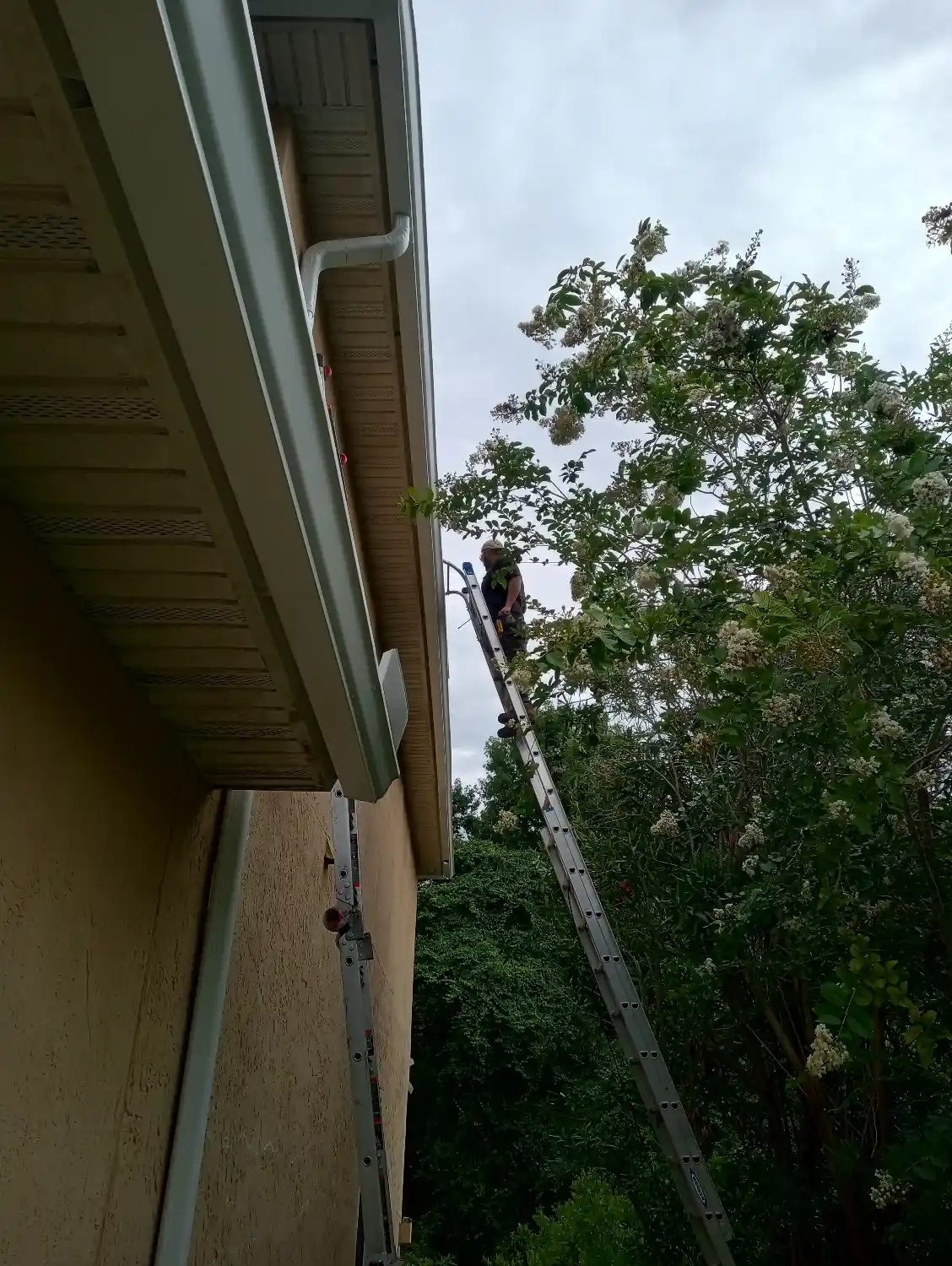 Is it better to replace or repair gutters?