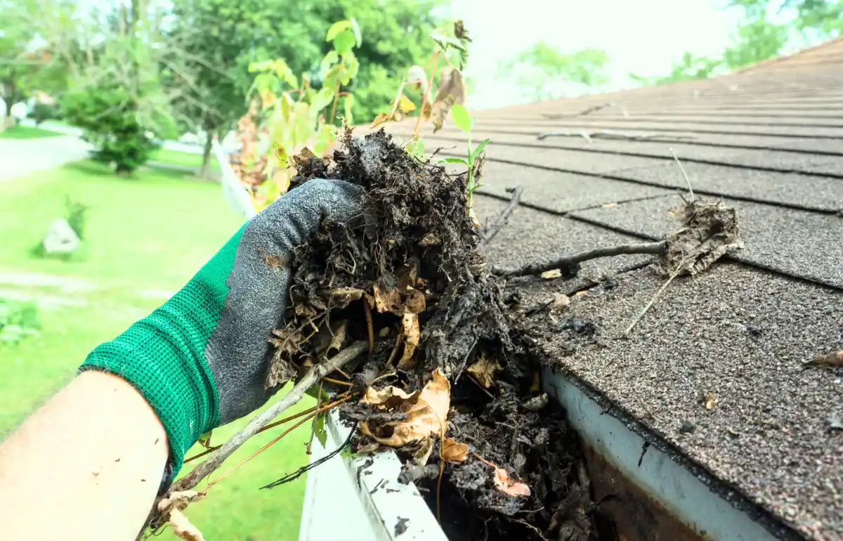 What is the average cost of gutter cleaning in my area?